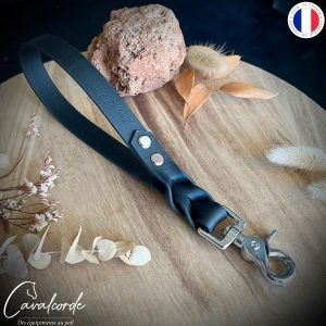 Laisse BioThane® poignée