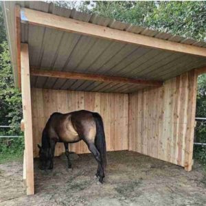 Abrivert – Abri chevaux bardage bois Douglas
